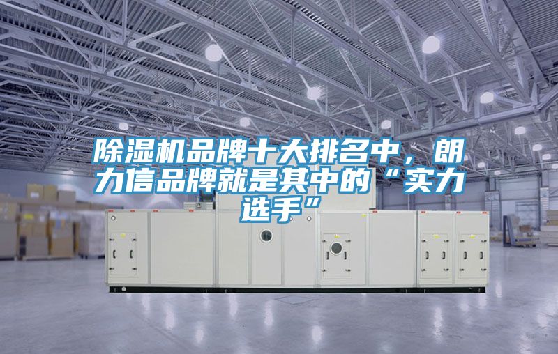 除濕機(jī)品牌十大排名中，朗力信品牌就是其中的“實(shí)力選手”
