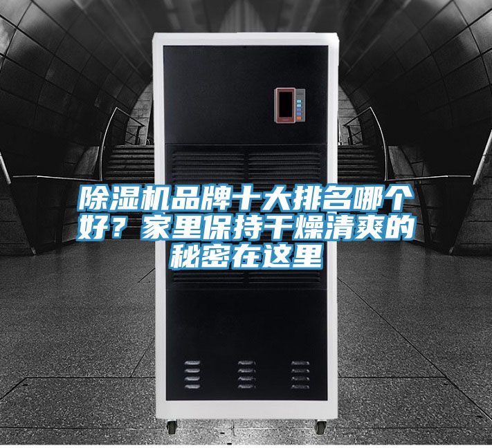 除濕機(jī)品牌十大排名哪個(gè)好？家里保持干燥清爽的秘密在這里