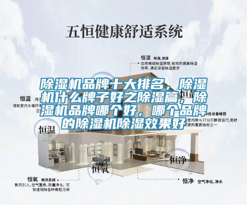 除濕機(jī)品牌十大排名，除濕機(jī)什么牌子好之除濕篇，除濕機(jī)品牌哪個(gè)好，哪個(gè)品牌的除濕機(jī)除濕效果好