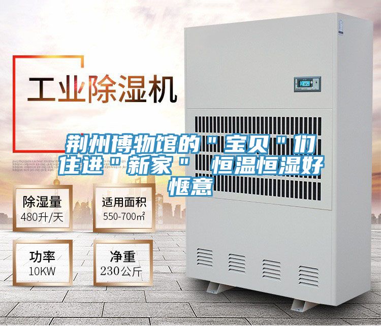 荊州博物館的"寶貝"們住進(jìn)"新家" 恒溫恒濕好愜意