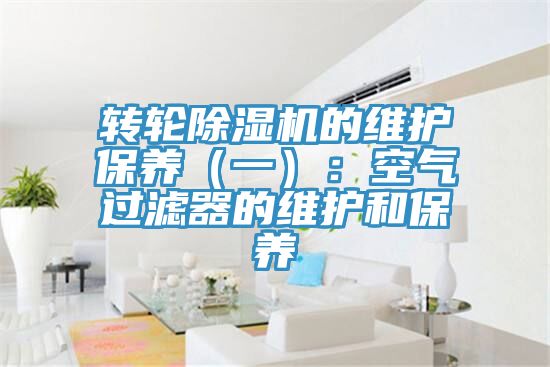 轉輪除濕機的維護保養(一):空氣過濾器的維護和保養