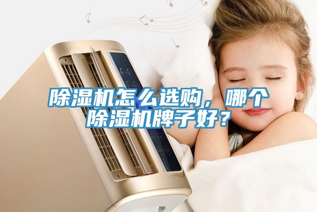 除濕機怎么選購，哪個除濕機牌子好？