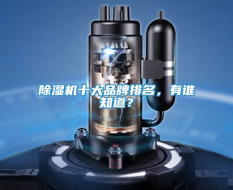 除濕機(jī)十大品牌排名，有誰知道？
