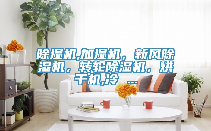 除濕機,加濕機，新風除濕機，轉輪除濕機，烘干機,冷 ...