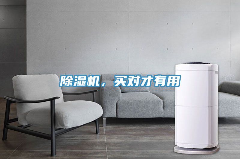 除濕機，買對才有用