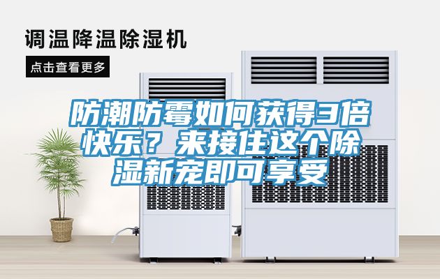 防潮防霉如何獲得3倍快樂?來接住這個除濕新寵即可享受