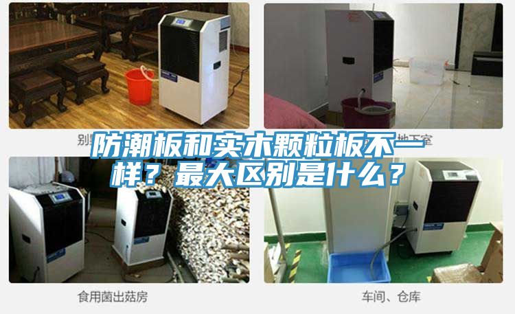 防潮板和實木顆粒板不一樣?最大區別是什么?