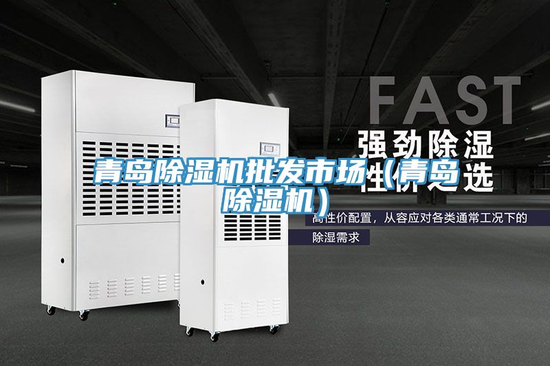 青島除濕機(jī)批發(fā)市場(chǎng)(青島除濕機(jī))