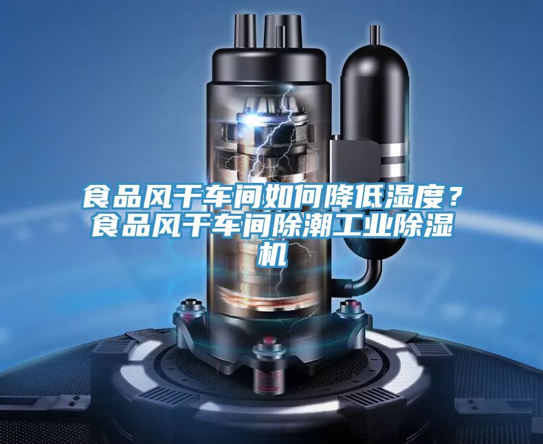 食品風干車間如何降低濕度？食品風干車間除潮工業除濕機