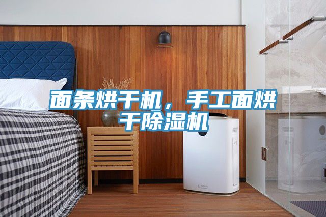 面條烘干機，手工面烘干除濕機