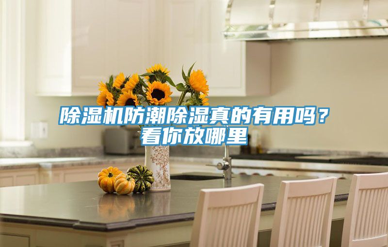 除濕機防潮除濕真的有用嗎?看你放哪里