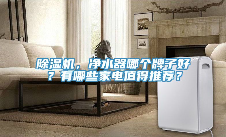 除濕機，凈水器哪個牌子好？有哪些家電值得推薦？