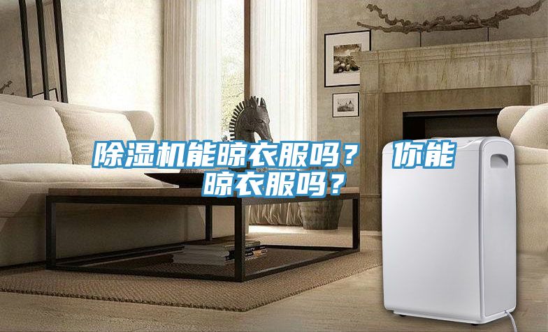 除濕機能晾衣服嗎？ 你能晾衣服嗎？