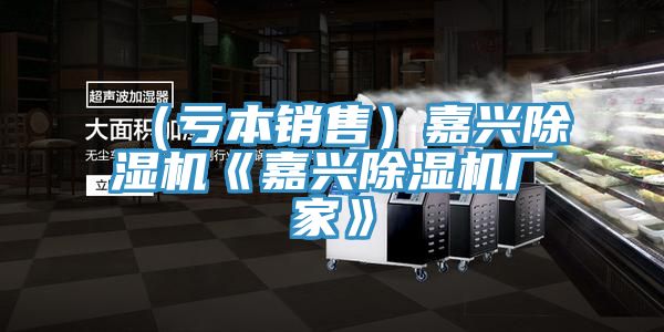 (虧本銷售)嘉興除濕機(jī)《嘉興除濕機(jī)廠家》