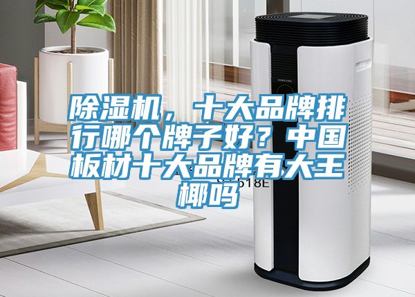 除濕機，十大品牌排行哪個牌子好？中國板材十大品牌有大王椰嗎