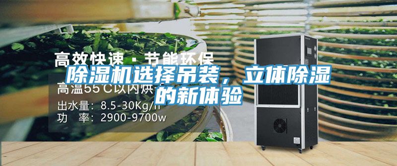 除濕機選擇吊裝，立體除濕的新體驗