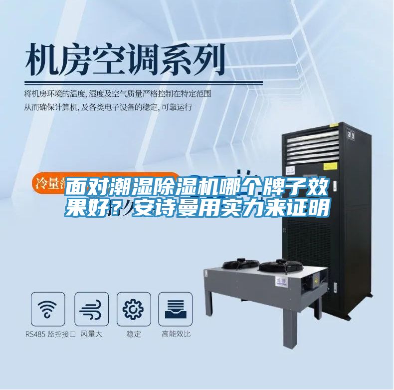 面對潮濕除濕機哪個牌子效果好？安詩曼用實力來證明